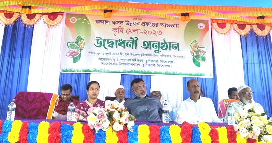 image-here